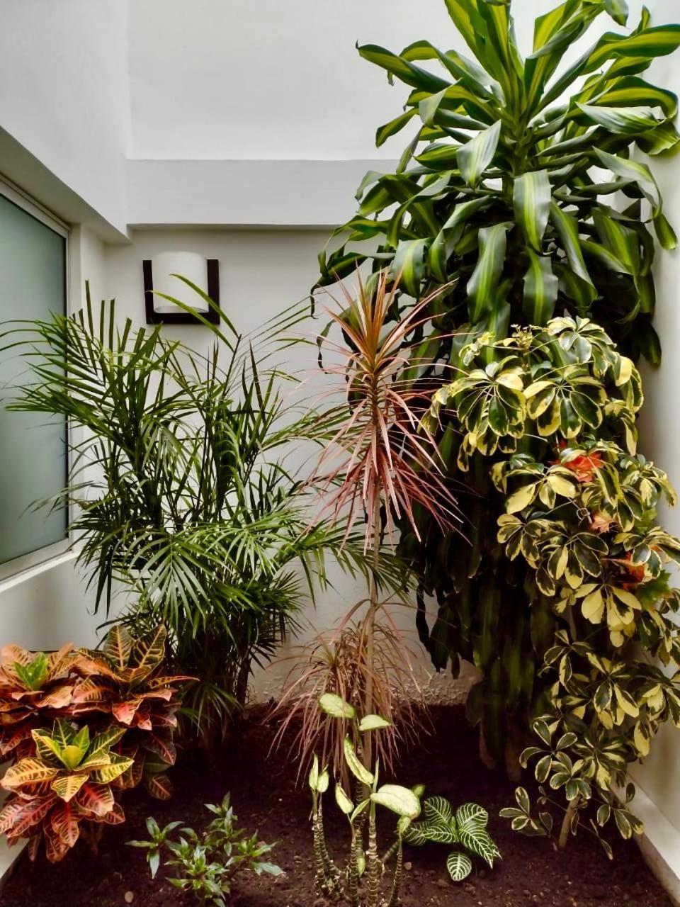 Hotel Jardin 38 ปัสโต ภายนอก รูปภาพ