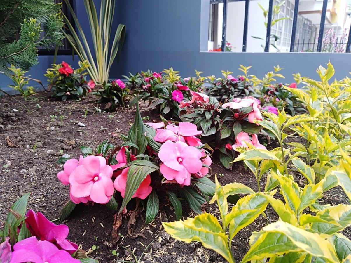 Hotel Jardin 38 ปัสโต ห้อง รูปภาพ